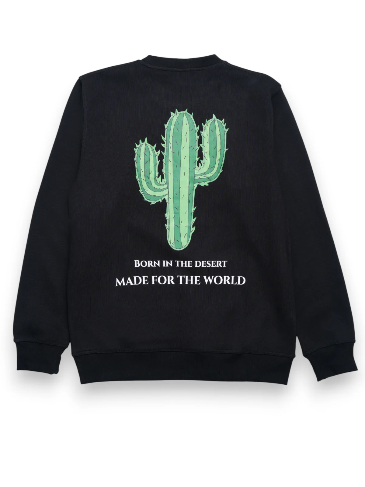 D01-S02 The Desert’s Resilience